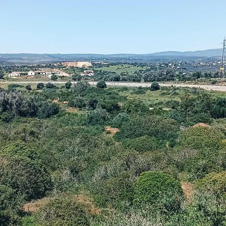 Farm A Do Alho, Herdade Do Funchal Alto da Cerca