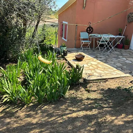 Holiday home Farm A Do Alho, Herdade Do Funchal *