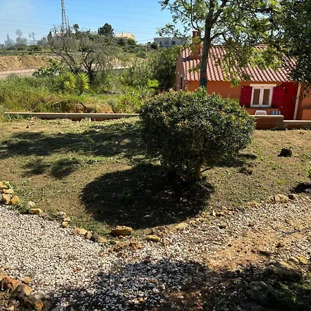 Holiday home Farm A Do Alho, Herdade Do Funchal