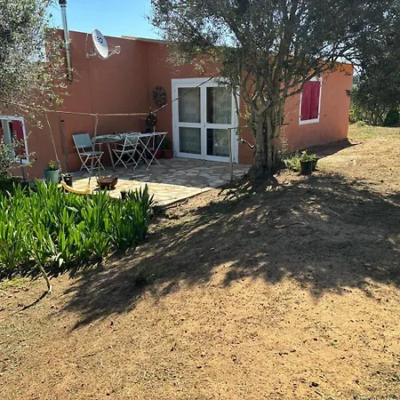 Holiday home Farm A Do Alho, Herdade Do Funchal *