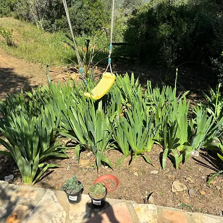 Farm A Do Alho, Herdade Do Funchal Alto da Cerca